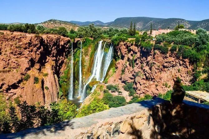 Day Trip Marrakech to Ouzoud Waterfalls