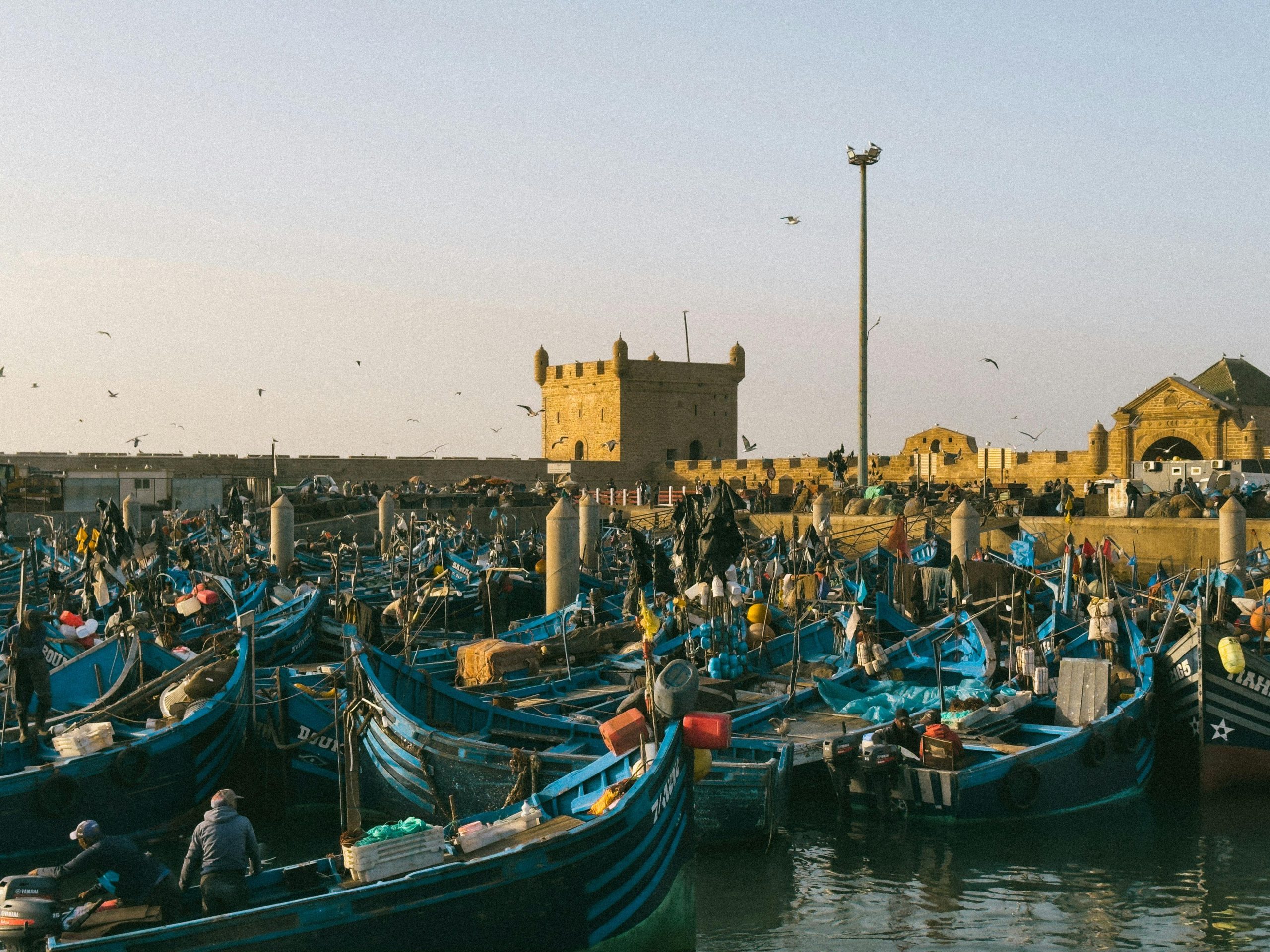 Day Trip from Marrakech to Essaouira