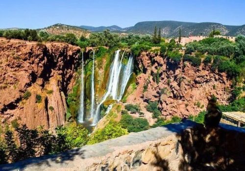 Day Trip Marrakech to Ouzoud Waterfalls